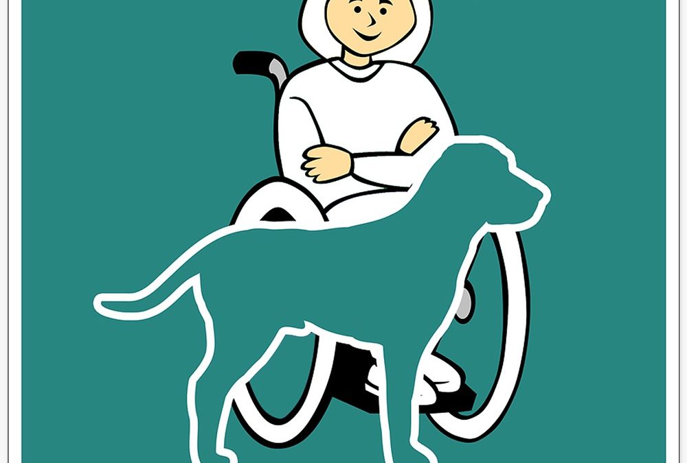 Perros de asistencia, perros guía, perros de terapia