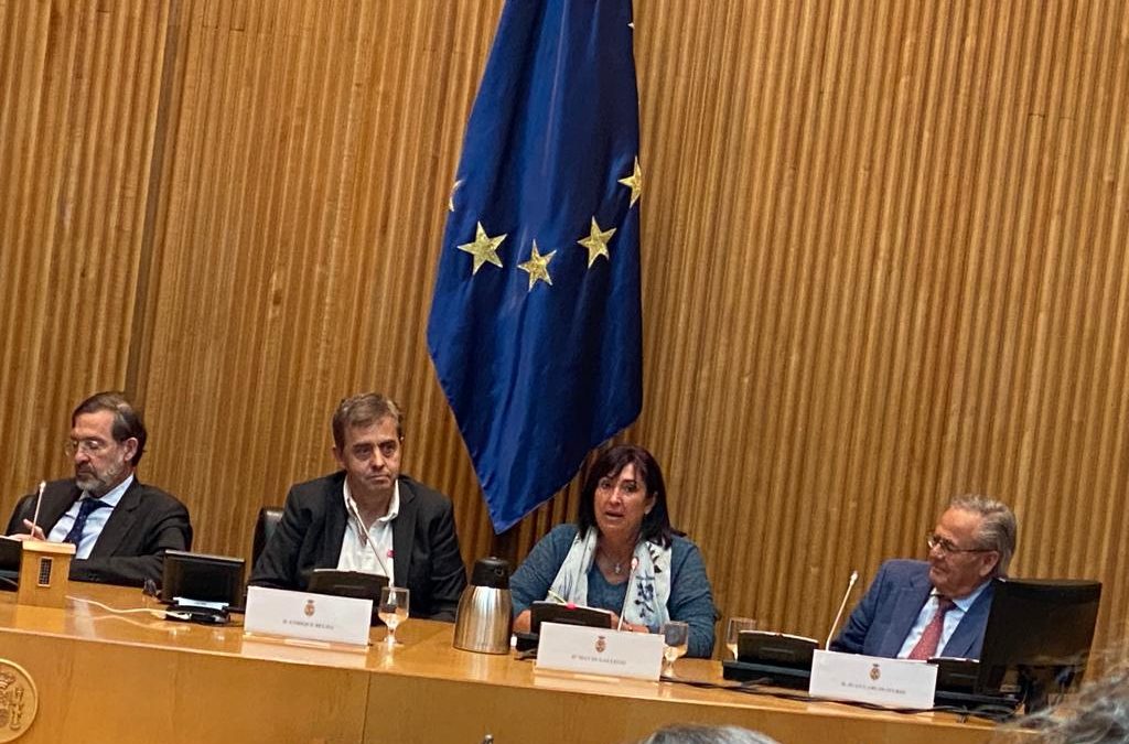 Mayte Gallego: «La mujer con discapacidad tiene más riesgo de no ser ciudadana de pleno derecho»