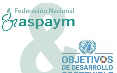 ¿Qué es la Estrategia Española sobre Discapacidad?