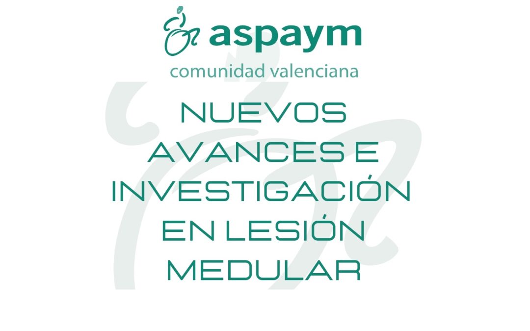 ASPAYM Comunidad Valenciana celebra una Jornada Informativa sobre avances e investigación en lesión medular a finales de junio