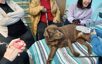ASPAYM Cuenca realiza una terapia asistida para personas con discapacidad mediante perros de acompañamiento