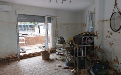 Se publica un estudio sobre los efectos del cambio climático en la vida de las personas con discapacidad