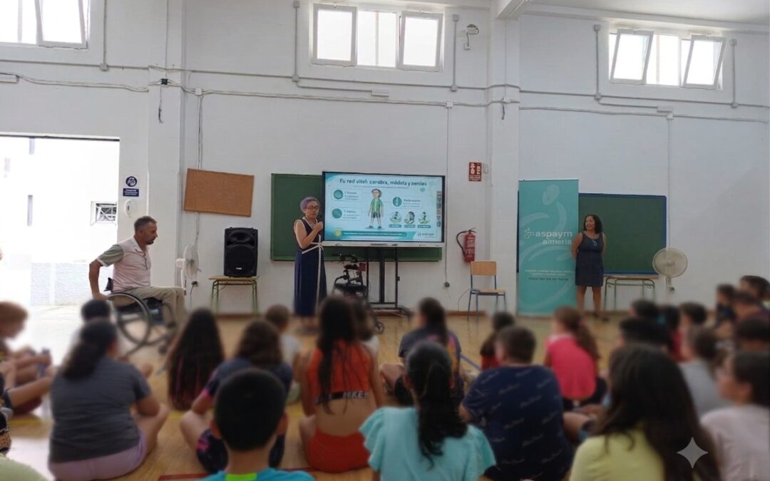 Primeras concienciaciones de nuestras entidades de ASPAYM este verano de 2026 frente a las malas zambullidas